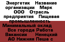 Энергетик › Название организации ­ Марк 4, ООО › Отрасль предприятия ­ Пищевая промышленность › Минимальный оклад ­ 1 - Все города Работа » Вакансии   . Ненецкий АО,Нижняя Пеша с.